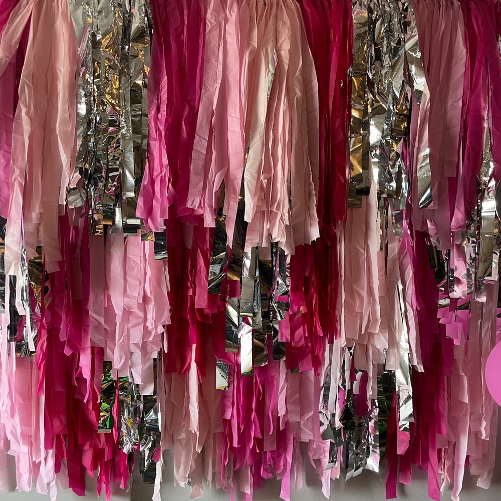 Custom Fringe Party Photo Backdrop Pink and Silver